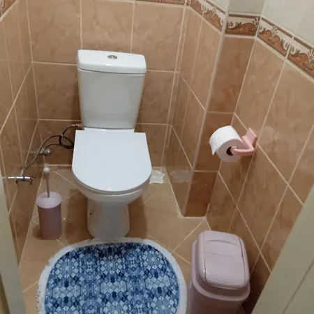 Apartament Hisar *